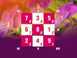 Flying Star Updates for April 2019