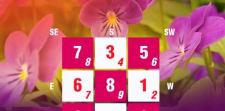 Flying Star Updates for April 2019