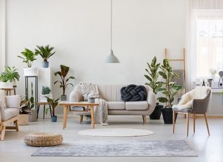 Enhancing Growth Chi in Your Home