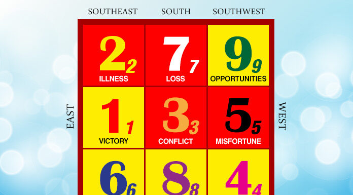 Flying Stars in January 2025: Energies in Each Sector Double Up!