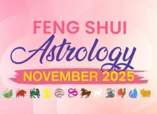 Feng Shui Astrology for November 2025