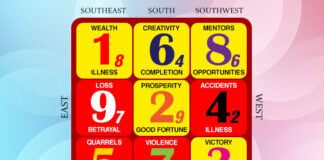 Flying Stars in January 2026: A Golden Close to the Snake Year!