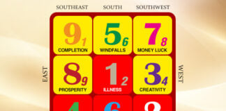 Flying Stars in August 2026: Many Good Indications but Protect Your Health